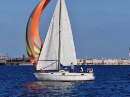 AUTUNNALE TARANTO 2026 - Foto